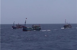 Hỗ trợ ngư dân bị kiểm ngư Trung Quốc đánh trọng thương